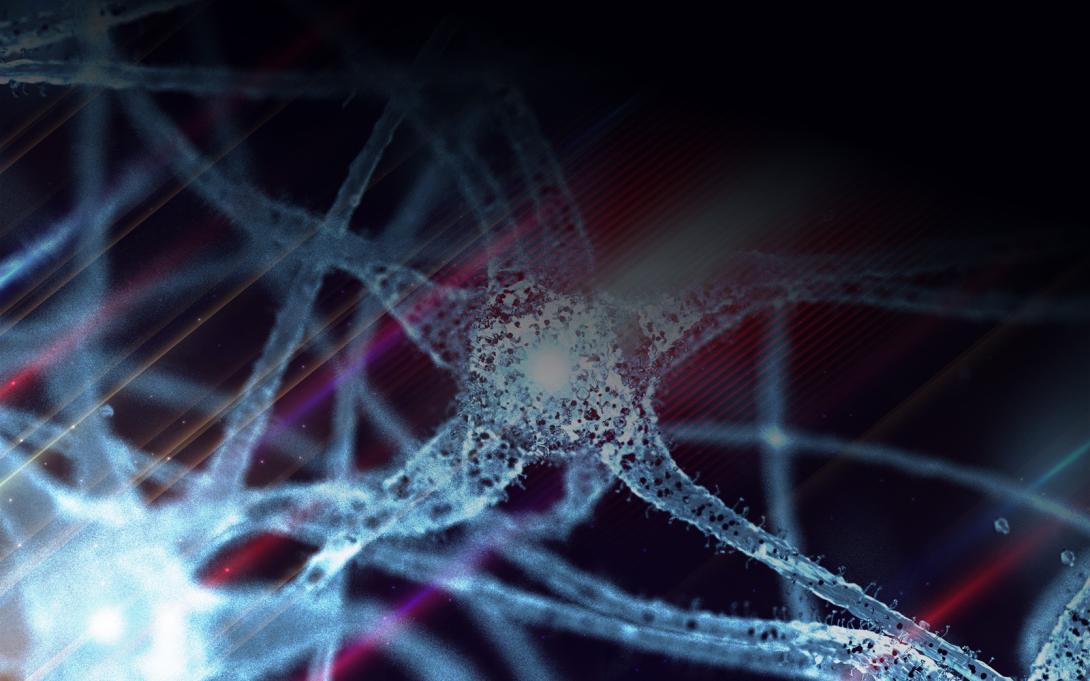 Close-up image of neurons and neuronal connections