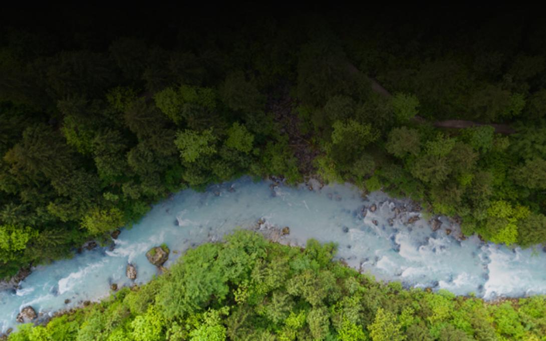 Natural Climate Solutions