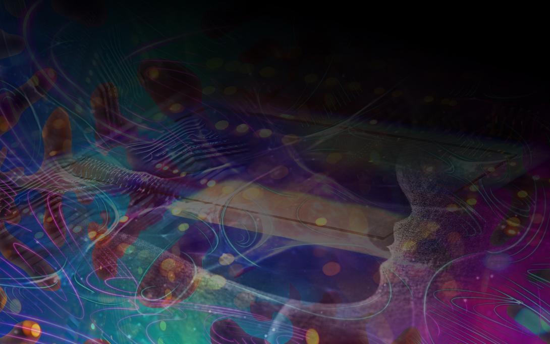 NEWS photonic processor